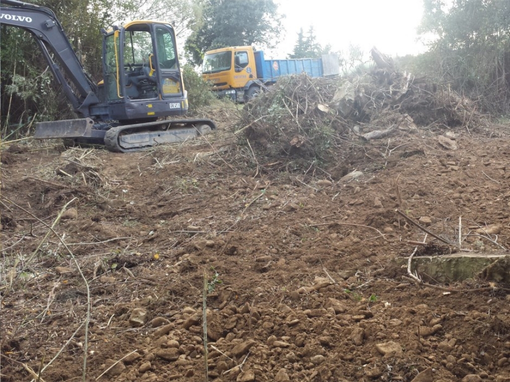 Trabajos de desbroce en carreteras