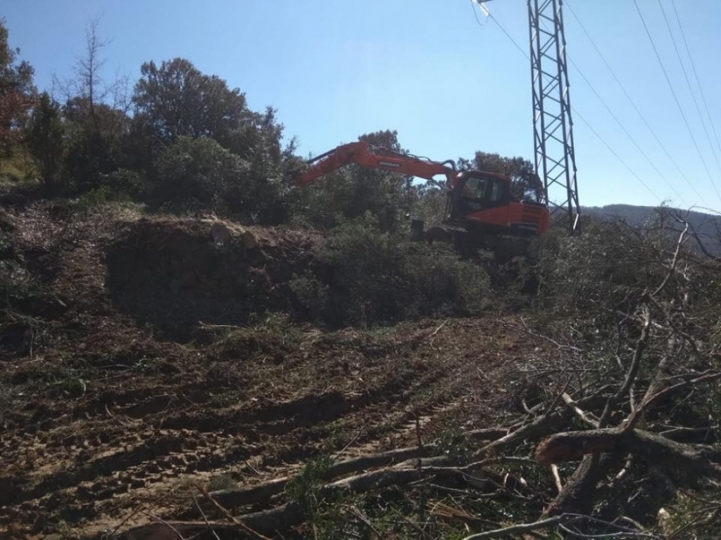 TRABAJOS DE DESBROCE Y LIMPIEZA DE APOYOS EN LÍNEAS DE ALTA TENSIÓN