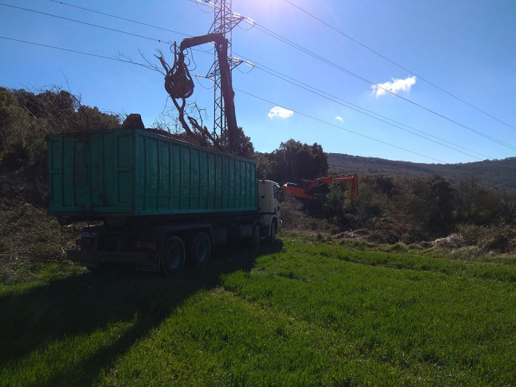 TRABAJOS DE DESBROCE Y LIMPIEZA DE APOYOS EN LÍNEAS DE ALTA TENSIÓN